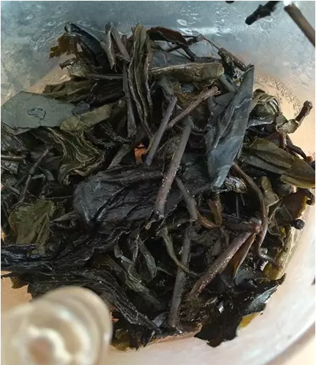 安化黑茶的金花溶于水吗 安化黑茶的金花溶于水吗